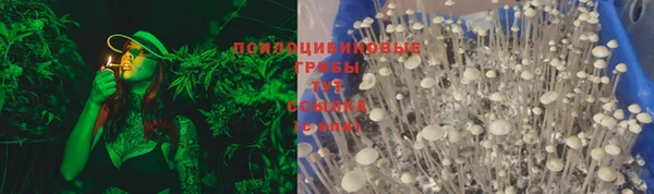 молекула духа Сафоново