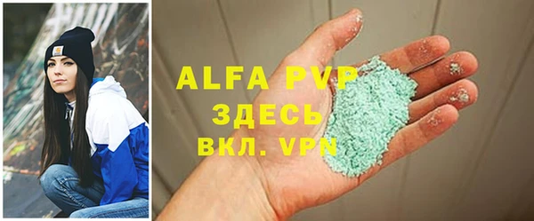 ПСИЛОЦИБИНОВЫЕ ГРИБЫ Гатчина