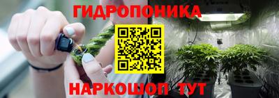 кокс Кунгур