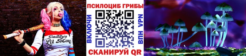 Псилоцибиновые грибы Cubensis  где можно купить   Каменск-Шахтинский 