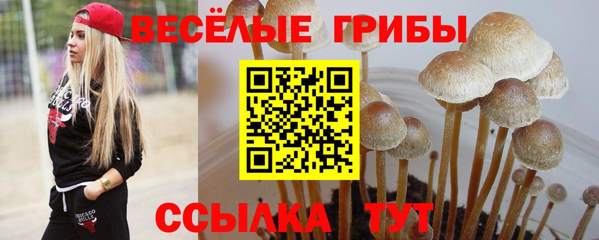 Галлюциногенные грибы Magic Shrooms  Галлюциногенные грибы Psilocybe  Каменск-Шахтинский  Вход с VPN 